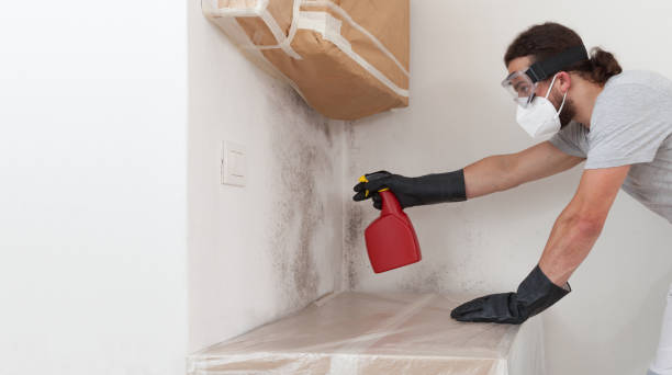 Professional Bathroom Mold Removal technician working in Gilbert, MN
